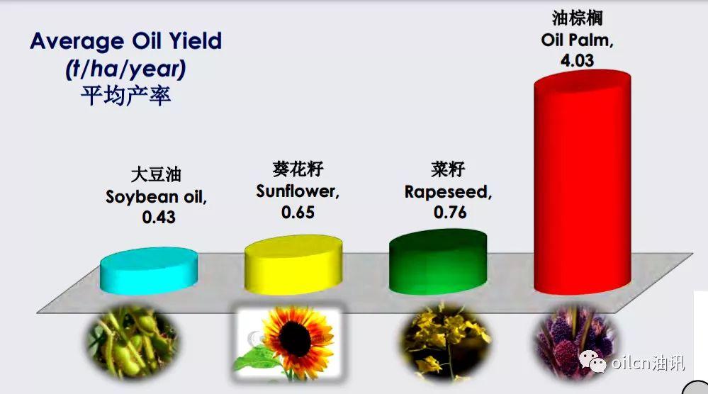 【转载】揭秘身边的“世界油王”棕榈油:为什么在市场上看不到? 行业案例 第4张 【转载】揭秘身边的“世界油王”棕榈油:为什么在市场上看不到? 行业案例 第4张