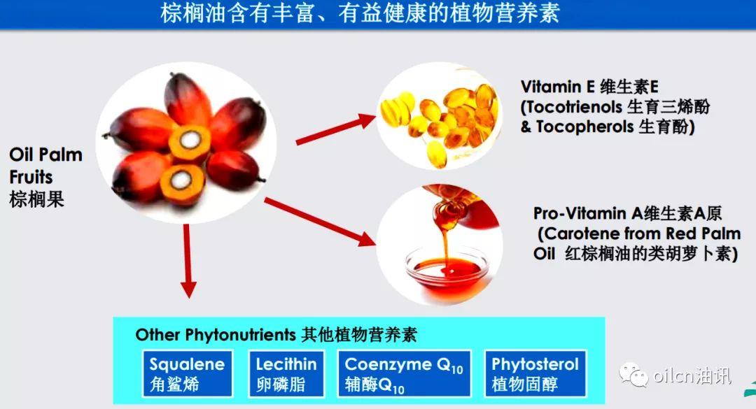 【转载】揭秘身边的“世界油王”棕榈油:为什么在市场上看不到? 行业案例 第5张 【转载】揭秘身边的“世界油王”棕榈油:为什么在市场上看不到? 行业案例 第5张